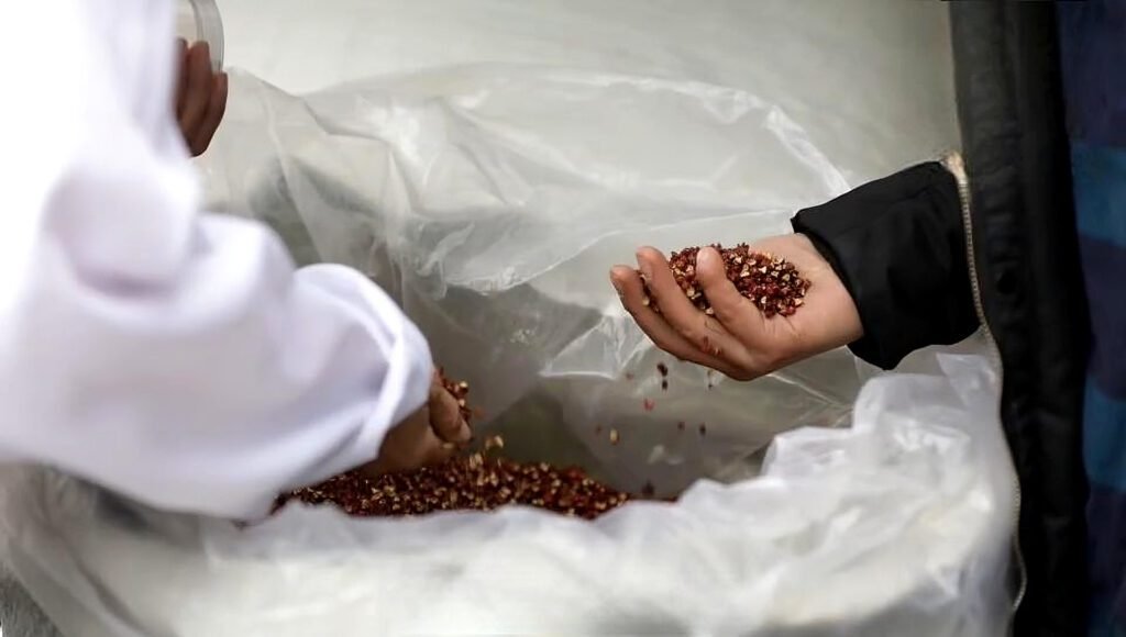 sichuan flower pepper