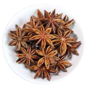 Illicium verum 八角